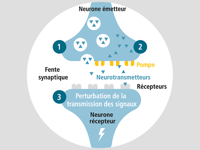 TDAH chez l'adulte