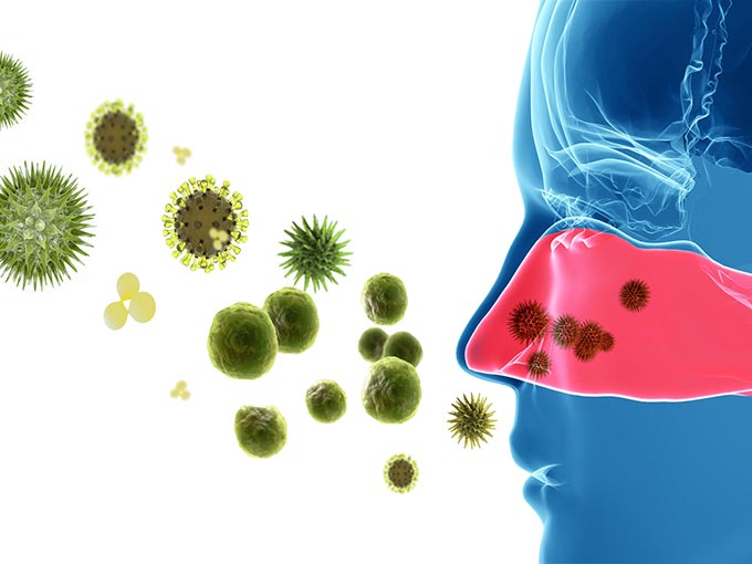 Allergie Entstehung Allergene Antikörper
