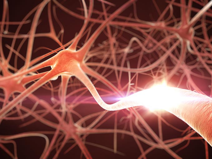 Burnout Stress Nervensystem Neuronen Körperreaktionen