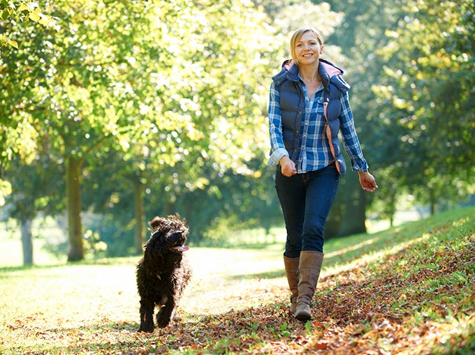 Burnout Frau Hund Entspannung Erholung Spaziergang