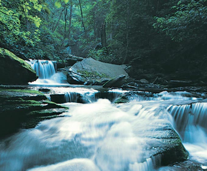 Natur Wasserfall Wald 